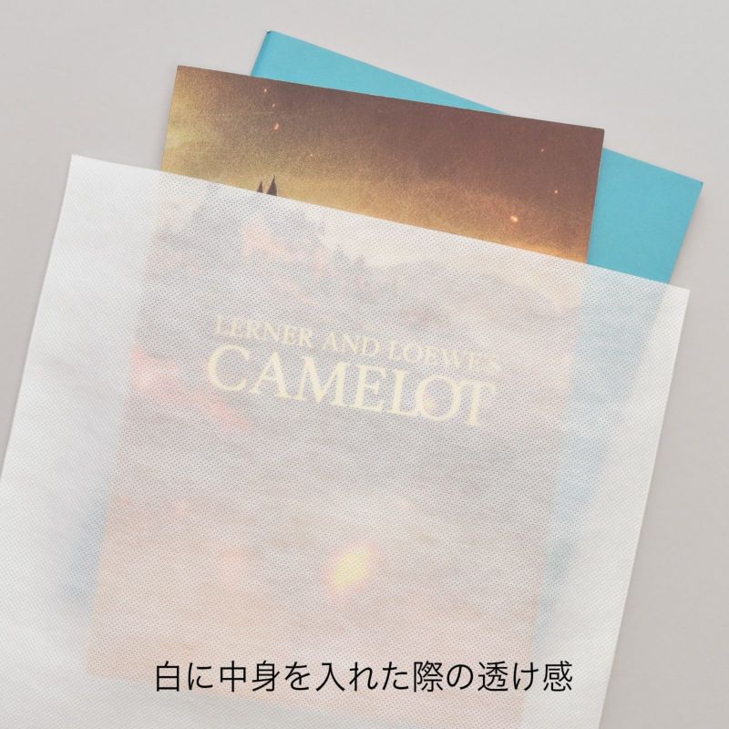 ラッピング｜ソフトバッグベーシックS6厚 50枚入