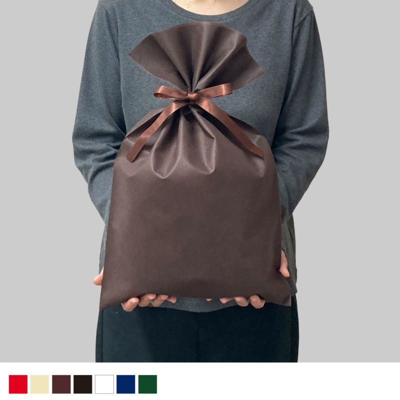 ラッピング｜ソフトバッグベーシックS6厚　2穴リボン巾着 50枚入