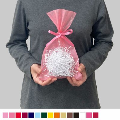 値下げしました！】リボン付きプレゼント小袋（クリア+不織布平袋）