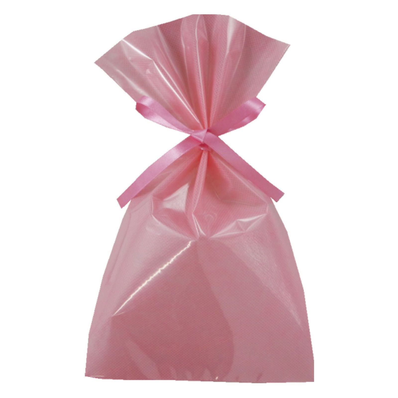 ラッピング｜ソフトバッグクリアS4　2穴リボン巾着 50枚入