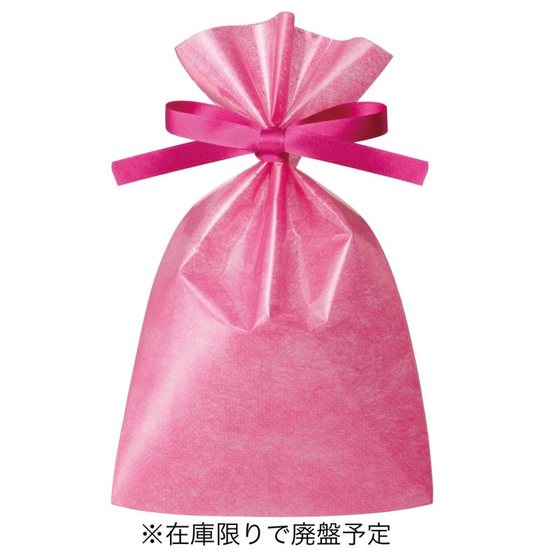 ラッピング｜ソフトバッグクリアS2　2穴リボン巾着 50枚入