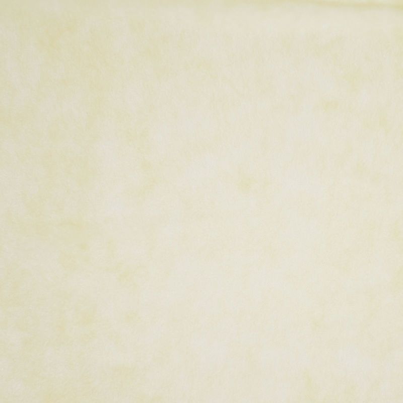 アパレル｜不織布製平袋　薄タイプ（12g）　大　100枚入