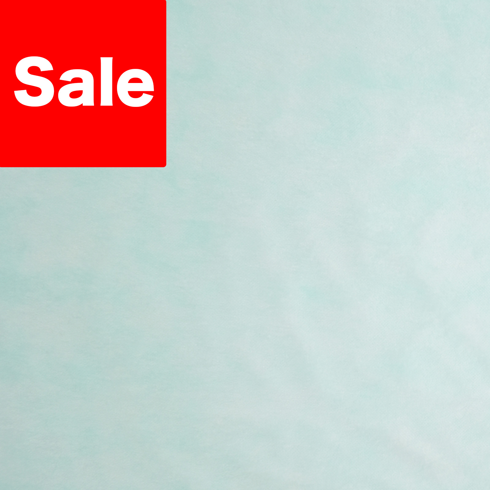 アパレル｜不織布製平袋　薄タイプ（12g）　大　100枚入