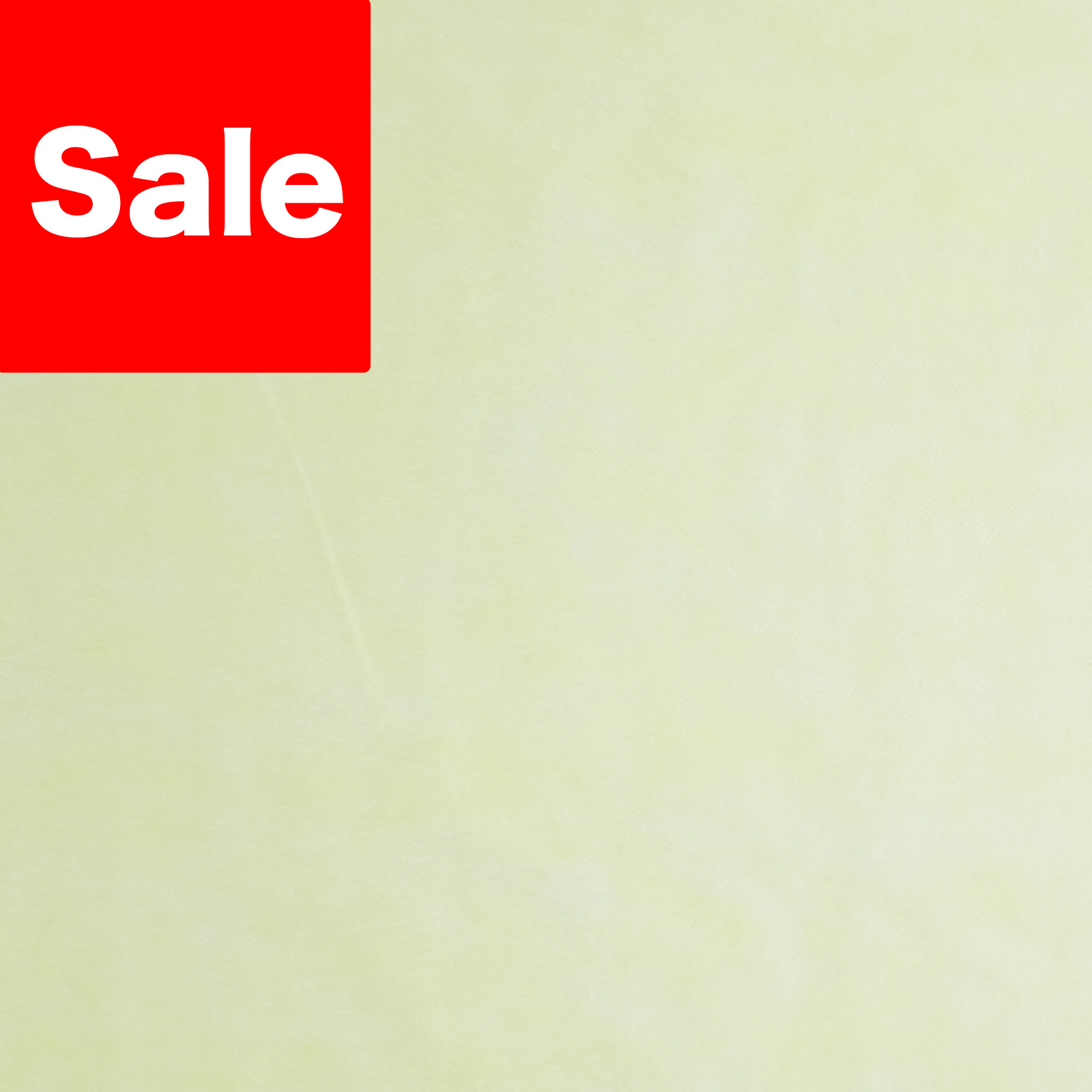 アパレル｜ 不織布製平袋　薄タイプ（12g）　特大　100枚入