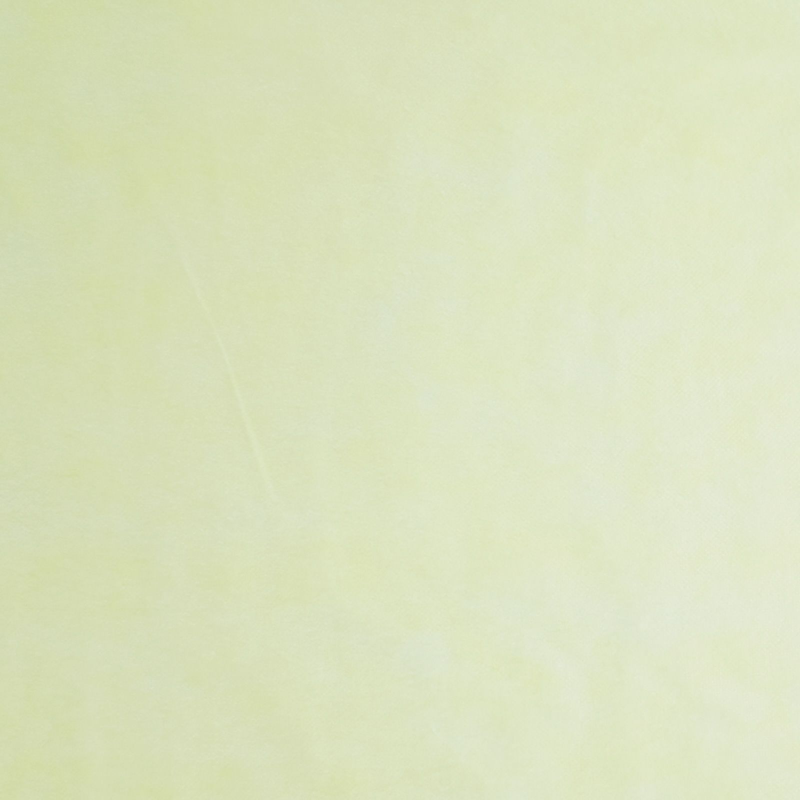 アパレル｜ 不織布製平袋　薄タイプ（12g）　特大　100枚入