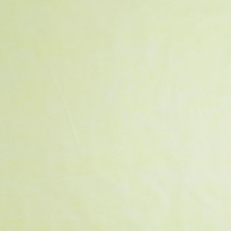 アパレル｜ 不織布製平袋　薄タイプ（12g）　特大　100枚入