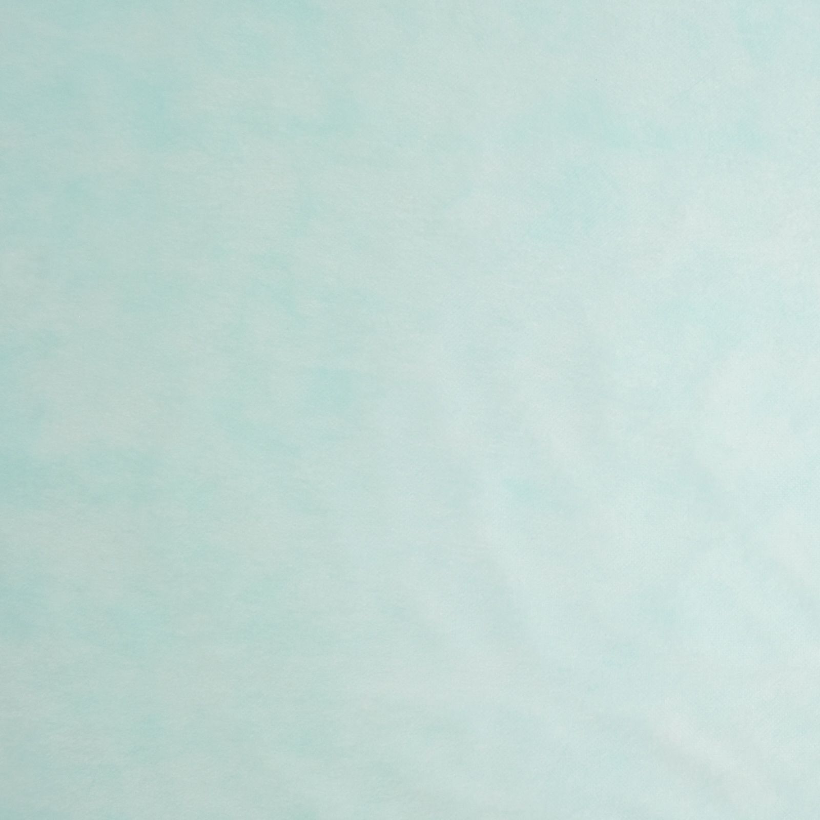 アパレル｜ 不織布製平袋　薄タイプ（12g）　特大　100枚入