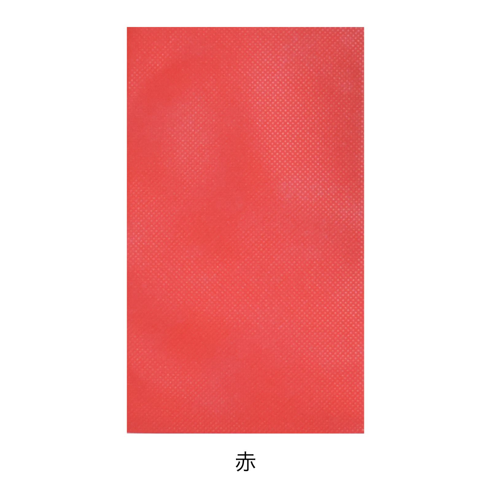 ラッピング｜ソフトバッグベーシックS5 名入れ有 100枚入