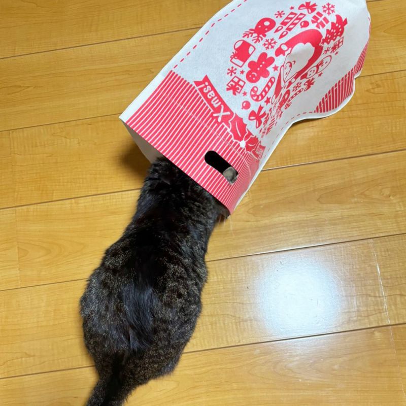 ラッピング｜【クリスマス】小判抜きバッグ　大サイズ｜不織布ラッピング袋｜20枚入～