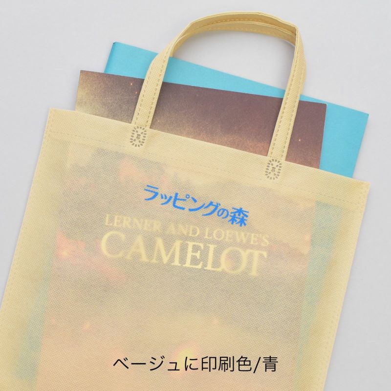 不織布バッグ｜【1000枚以上専用】アドバッグ 普通タイプ（75g） 持ち手付き　A4 名入れ有　100枚入