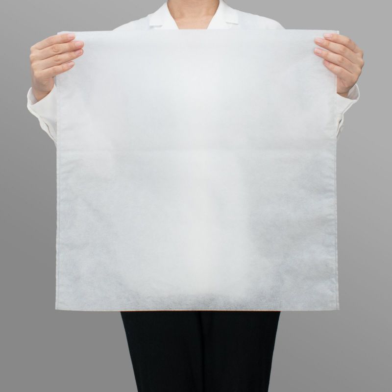 アパレル資材｜不織布製平袋　厚タイプ（23g）　サイズ50　100枚入