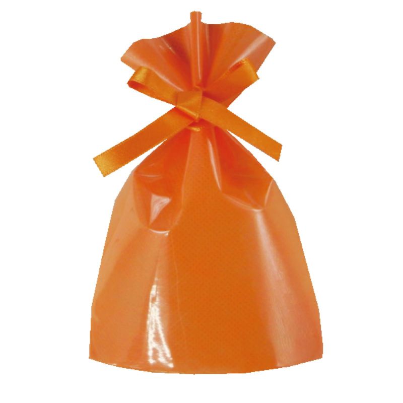 ラッピング｜ソフトバッグクリアS1 2穴リボン巾着　名入れ有　100枚入