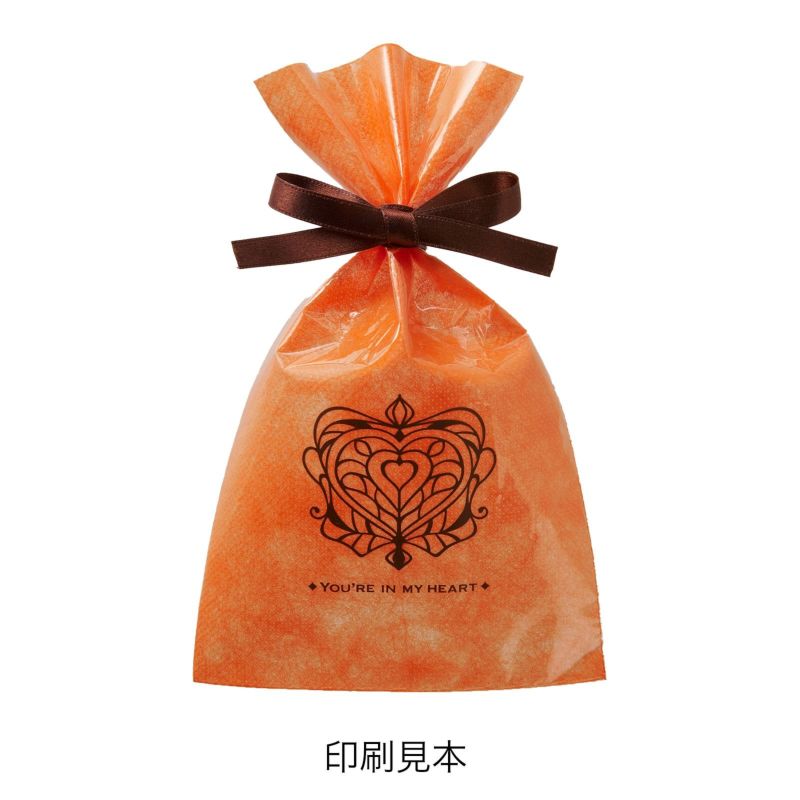 ラッピング｜ソフトバッグクリアS2 2穴リボン巾着　名入れ有　100枚入