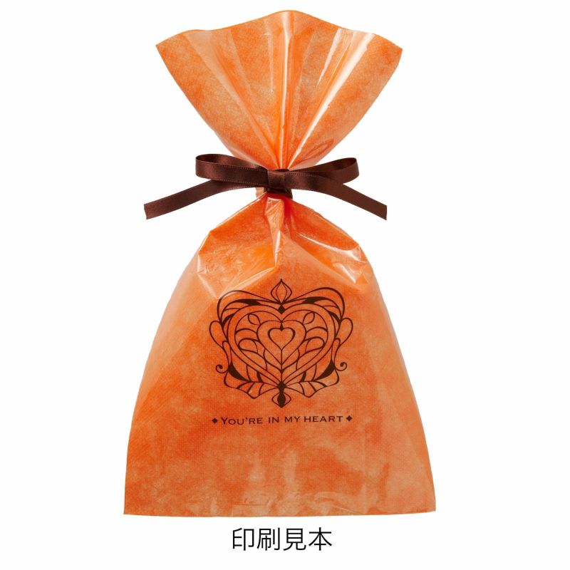 ラッピング｜ソフトバッグクリアS4 2穴リボン巾着 名入れ有　100枚入