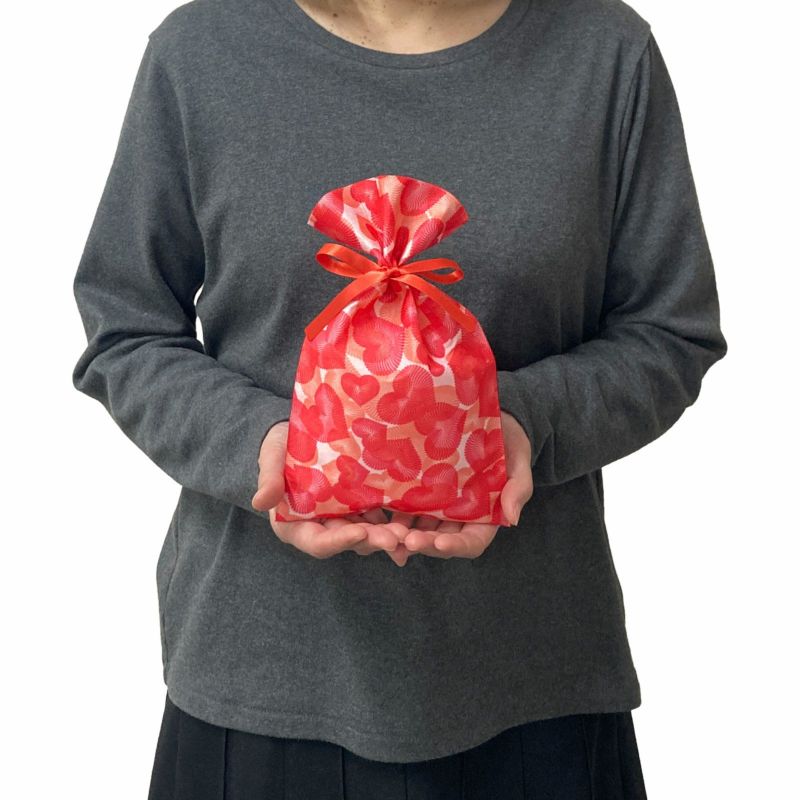 【フルカラー名入れ／高温転写】ソフトバッグFP　S3　100枚入｜ラッピング資材の仕入れならラッピングの森