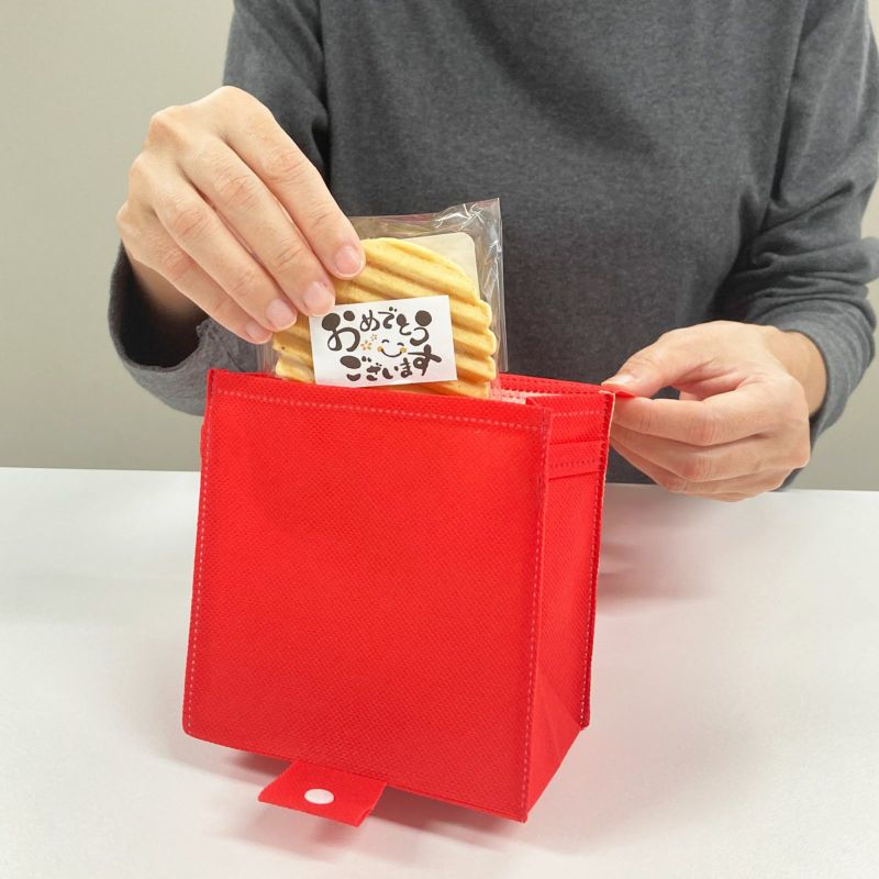 ラッピング｜ランドセルバッグFP　20枚入～