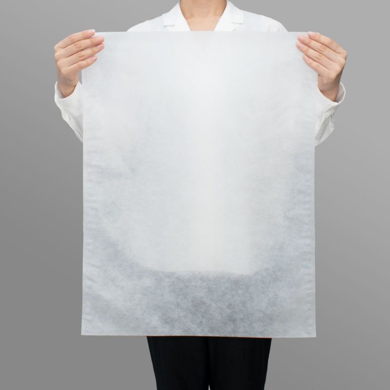 アパレル資材｜不織布製平袋　普通タイプ（20g）　大　100枚入