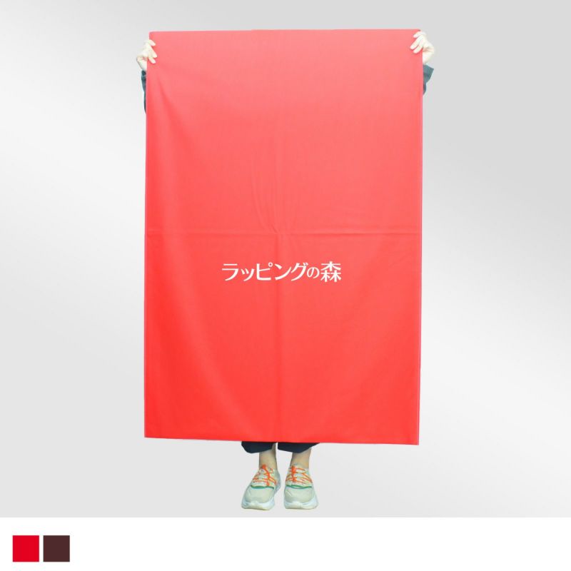 ラッピング｜ソフトバッグベーシック　S10厚 名入れ有 100枚入