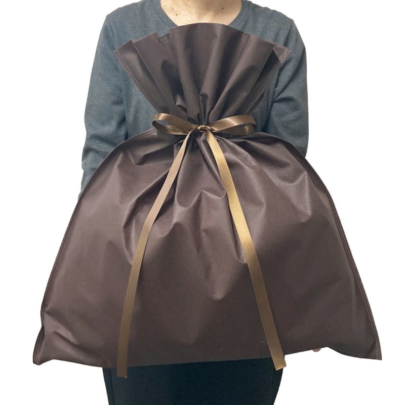 アパレル資材｜【小ロット】ギフトバッグLL　10枚入