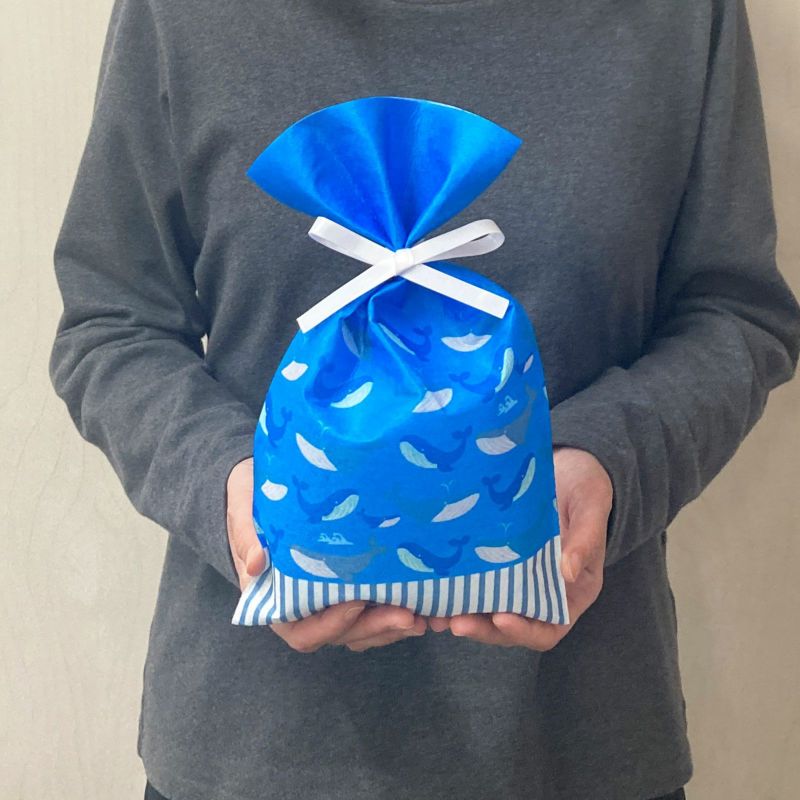 ソフトバッグFP S4　夏休み柄　100枚入｜ラッピング資材の仕入れならラッピングの森