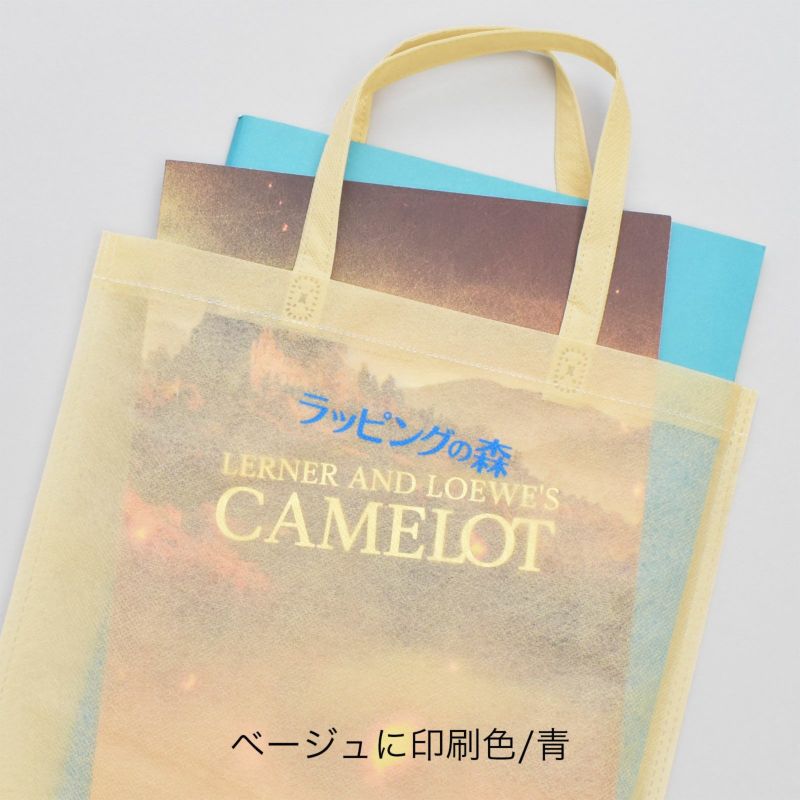 不織布バッグ｜【リピーター専用】アドバッグ 薄タイプ（40g） 持ち手付き　A4 名入れ有　100枚入