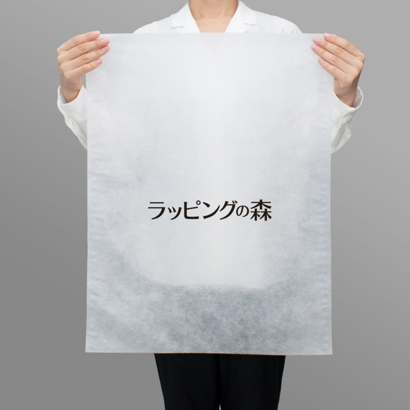 アパレル資材｜【リピーター専用】不織布製平袋　普通タイプ（20g）　大　名入れ有　100枚入