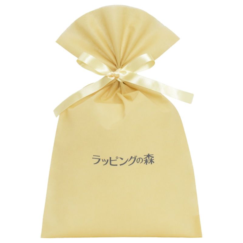 ラッピング｜【リピーター専用】ソフトバッグベーシックS5　2穴リボン巾着　名入れ有 100枚入