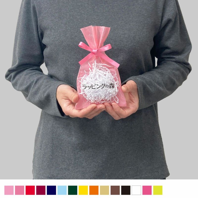 ラッピング｜【リピーター専用】ソフトバッグクリアS2 2穴リボン巾着　名入れ有　100枚入