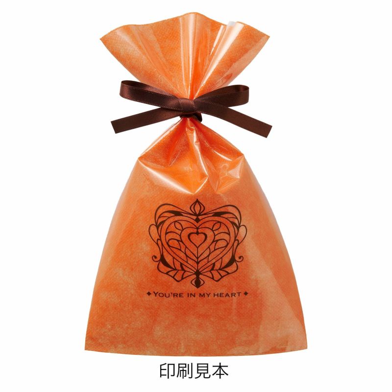 ラッピング｜【リピーター専用】ソフトバッグクリアS3 2穴リボン巾着 名入れ有　100枚入