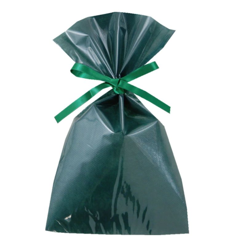 ラッピング｜【リピーター専用】ソフトバッグクリアS4 2穴リボン巾着 名入れ有　100枚入