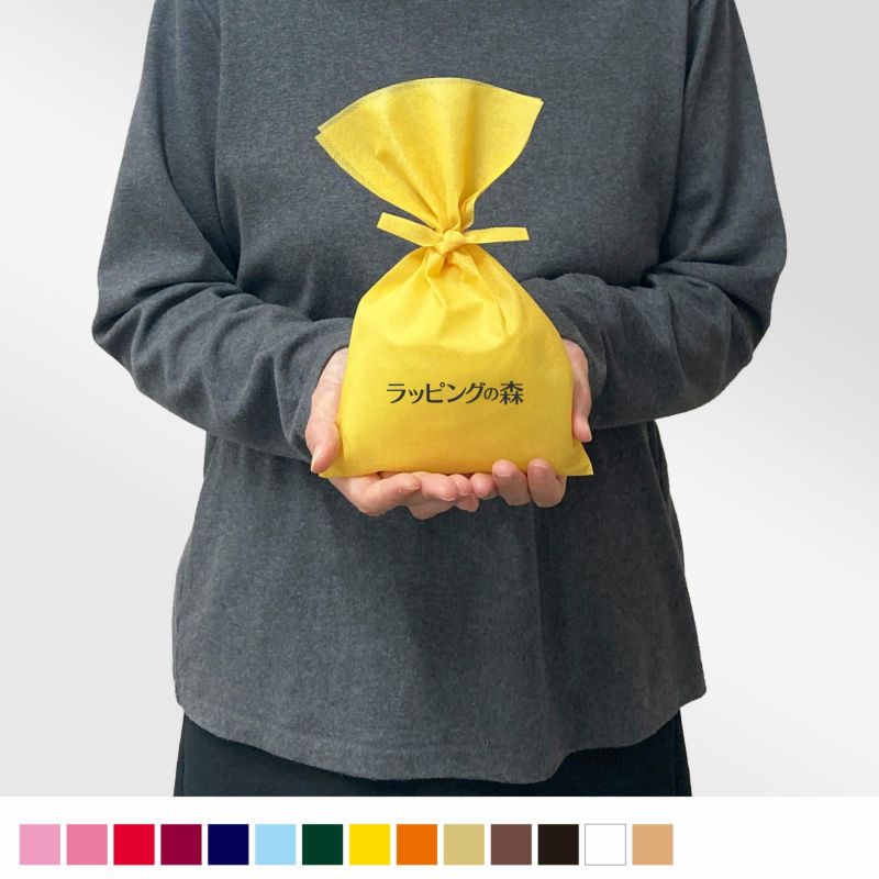 ラッピング｜ソフトバッグベーシックS3　タイリボン 名入れ有 100枚入