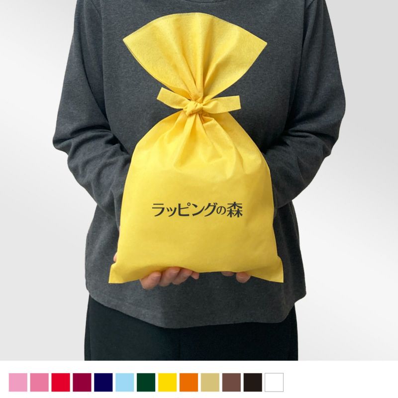 ラッピング｜ソフトバッグベーシックS5　タイリボン 名入れ有　100枚入