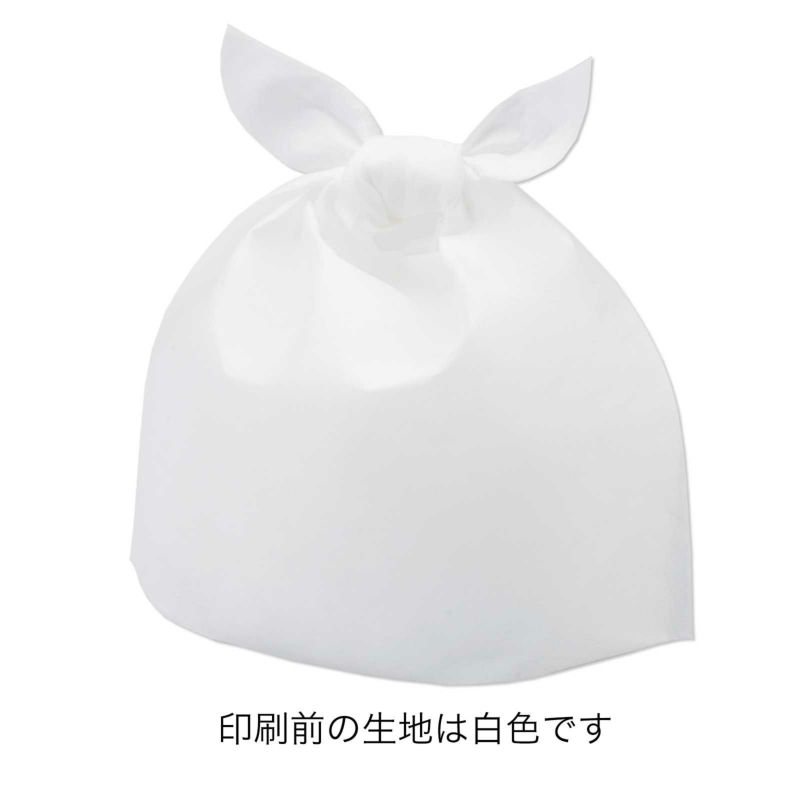 【フルカラー名入れ／高温転写】タイパック マチ付きFP　Mサイズ　100枚入