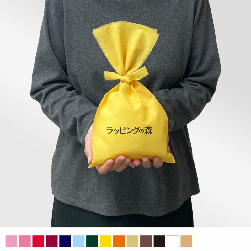 ラッピング｜【リピーター専用】ソフトバッグベーシックS4　タイリボン 名入れ有 100枚入