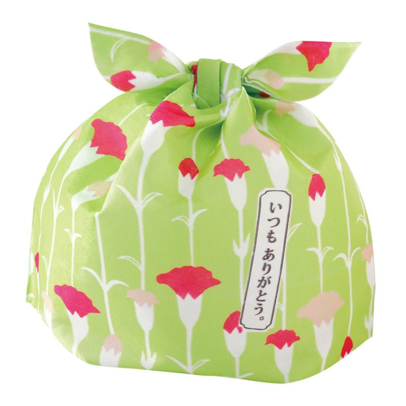 タイパックFP　Mサイズ　2024年春柄　20枚入｜ラッピング資材の仕入れならラッピングの森