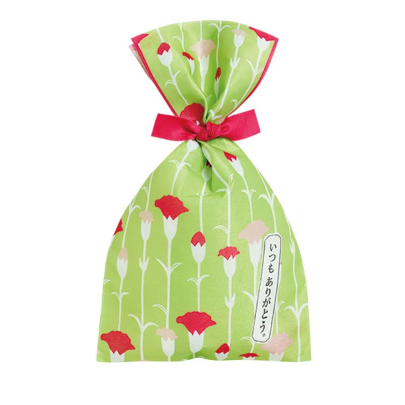 タイリボンFP　S4サイズ　2024年春柄　20枚入｜ラッピング資材の仕入れならラッピングの森