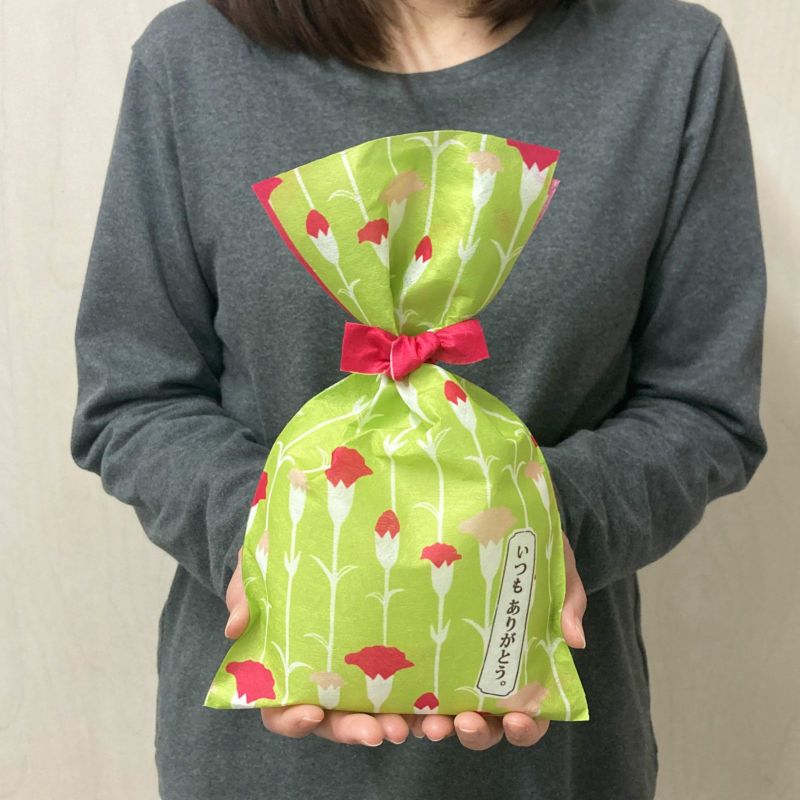 タイリボンFP　S4サイズ　2024年春柄　20枚入｜ラッピング資材の仕入れならラッピングの森