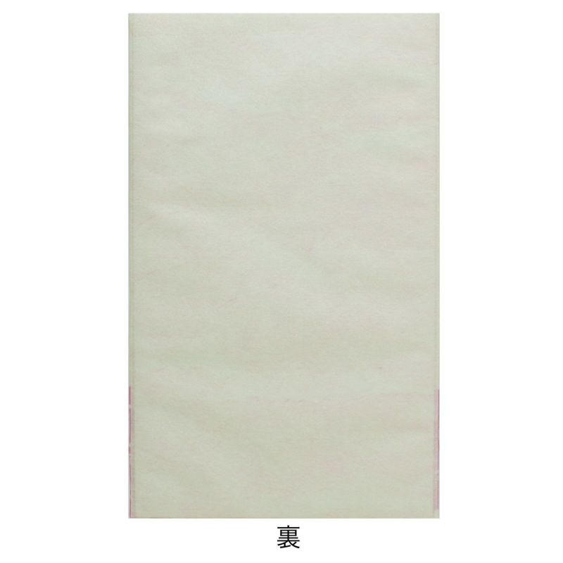 ラッピング｜ソフトバッグFP S3サイズ 2024年冬柄　20枚入