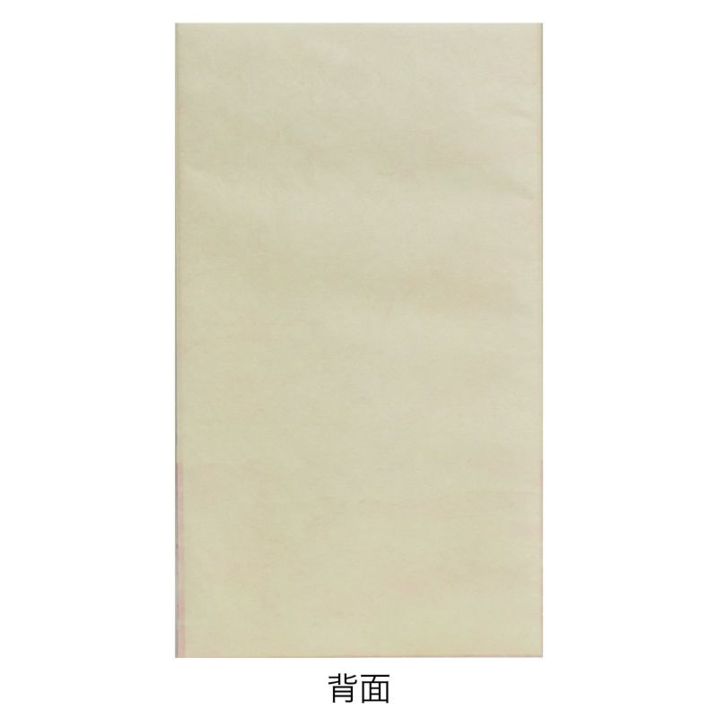 ラッピング｜ソフトバッグFP　S4サイズ 2024年冬柄　20枚入