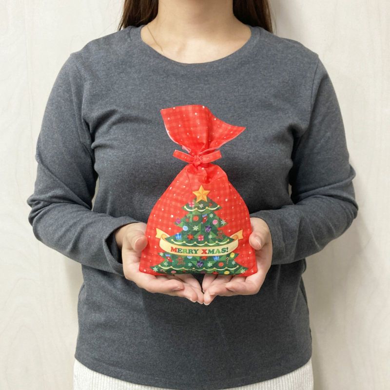 ラッピング｜タイリボンFP　S3サイズ　2026年冬柄　20枚入