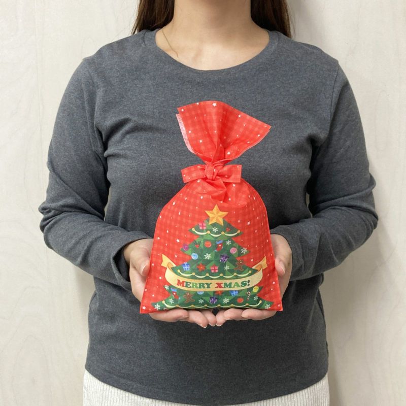 ラッピング｜タイリボンFP　S4サイズ　2025年冬柄　20枚入