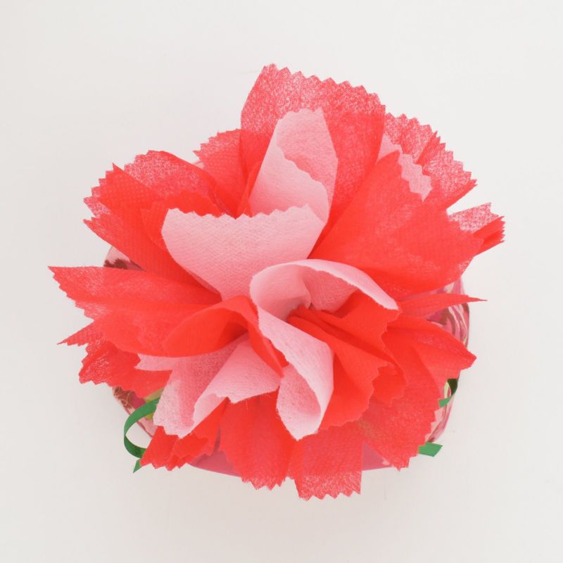 ラッピング｜母の日ラッピングセット　ブルーミング｜お花巾着FP　カーネーション柄　俯瞰から見た画像