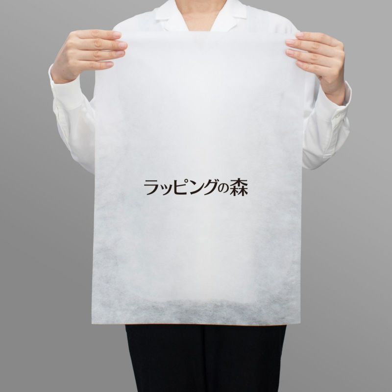 アパレル｜【1000枚以上専用】不織布製平袋　普通タイプ（20g）　中　名入れ有　100枚入