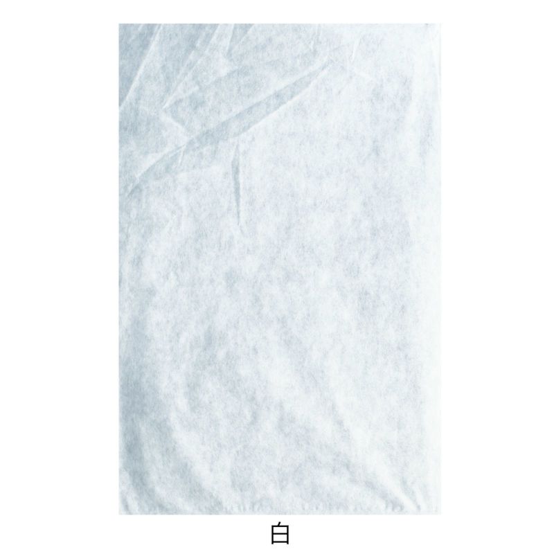 アパレル｜【1000枚以上専用】不織布製平袋　普通タイプ（20g）　特大　名入れ有　100枚入