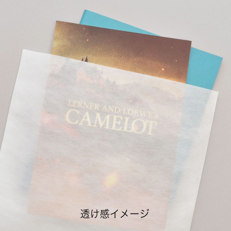 ラッピング｜【小ロット】ソフトバッグベーシックS6厚 10枚入