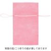 ラッピング｜【小ロット】ソフトバッグベーシックS2　江戸打紐　10枚