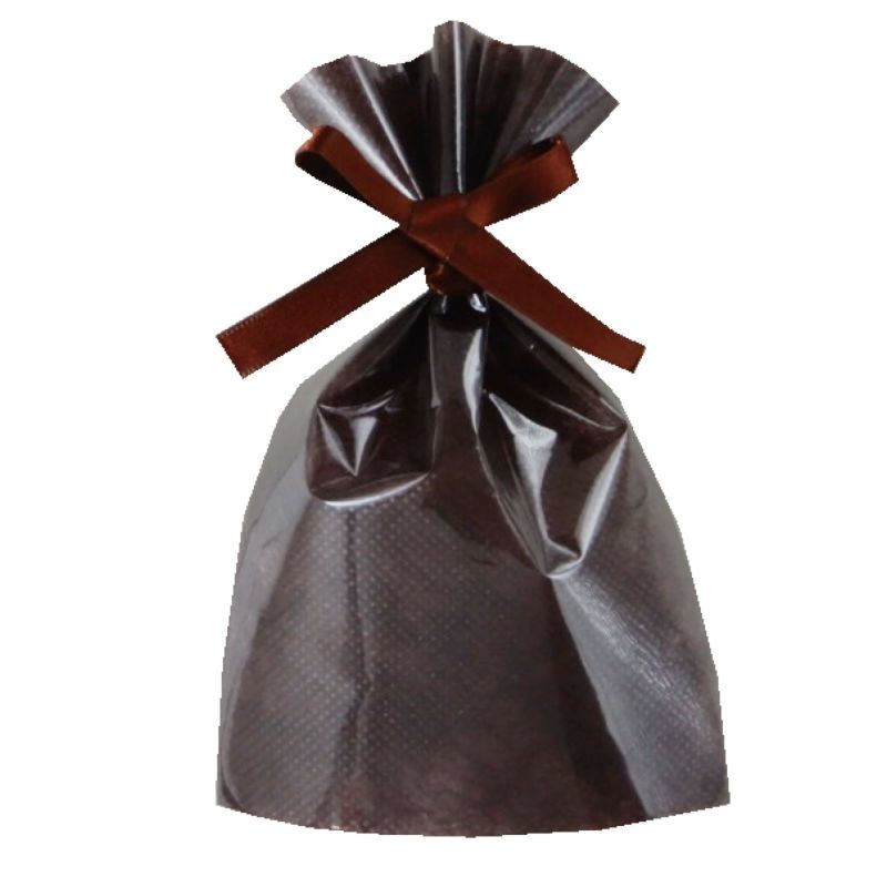 ラッピング｜【小ロット】ソフトバッグクリアS1　2穴リボン巾着 10枚入