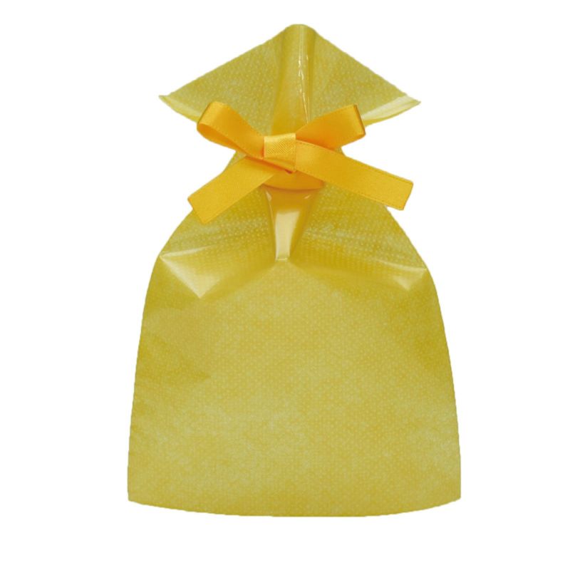 ラッピング｜【小ロット】ソフトバッグクリアS1　2穴リボン巾着 10枚入