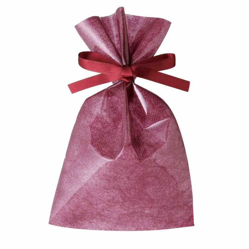 ラッピング｜【小ロット】ソフトバッグクリアS2　2穴リボン巾着 10枚入