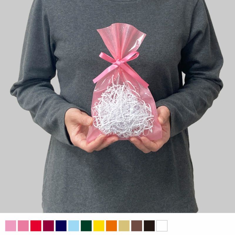 ラッピング｜【小ロット】ソフトバッグクリアS3　2穴リボン巾着　10枚入